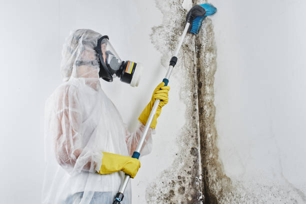 Best Mold Cleaning Services  in Lemoore Station, CA