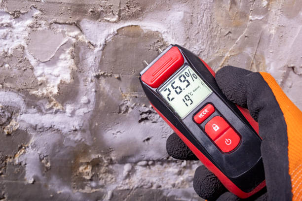 Best Residential Mold Removal  in Lemoore Station, CA
