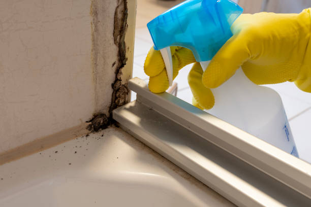 Best Emergency Mold Removal  in Lemoore Station, CA