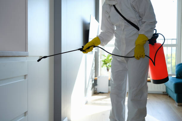 Best Mold Remediation  in Lemoore Station, CA