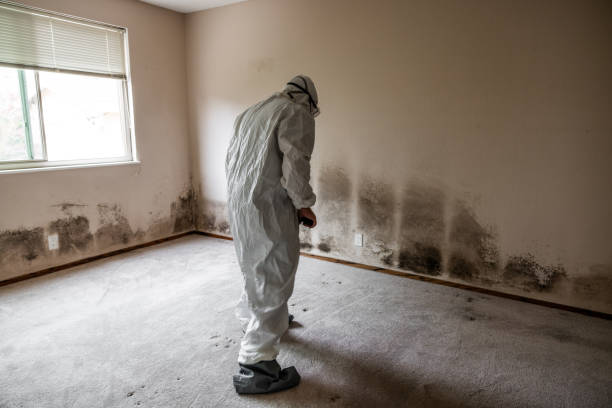 Best Crawl Space Mold Removal  in Lemoore Station, CA