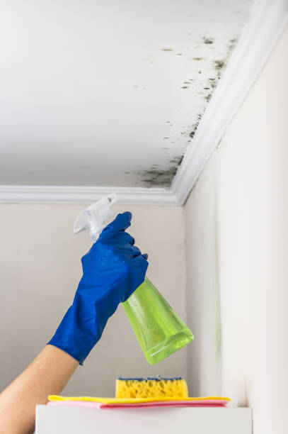 Best Mold Testing  in Lemoore Station, CA